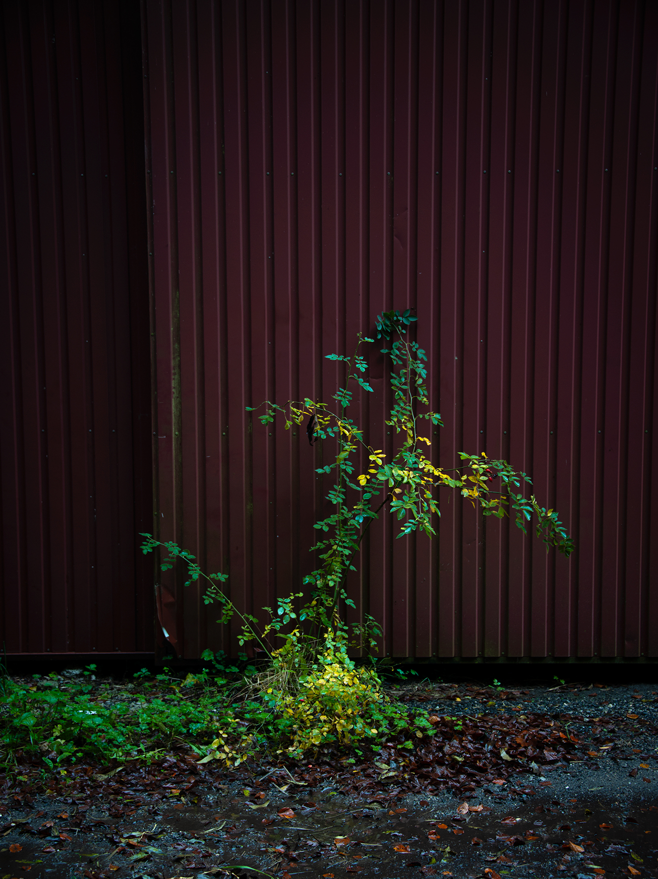 air_028