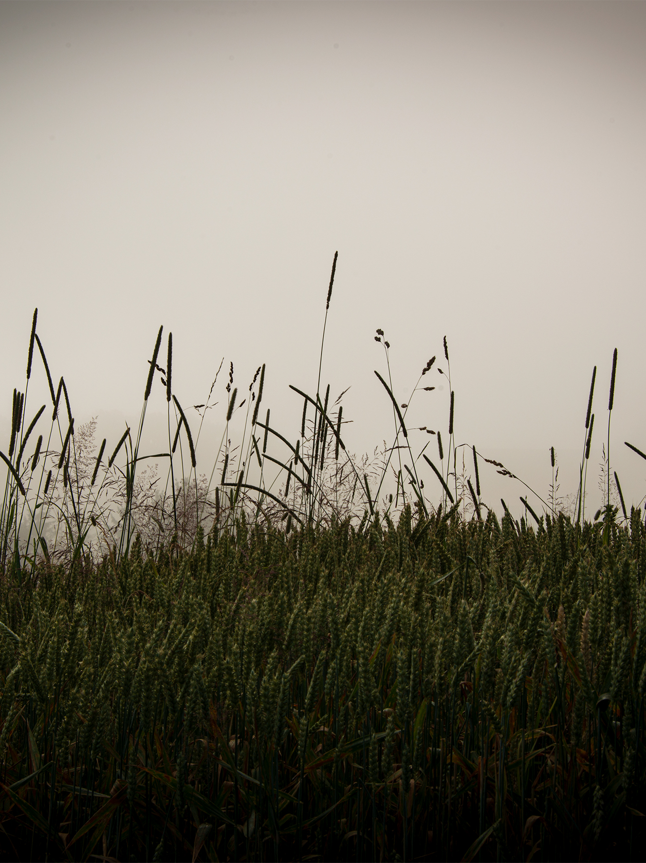 air_029