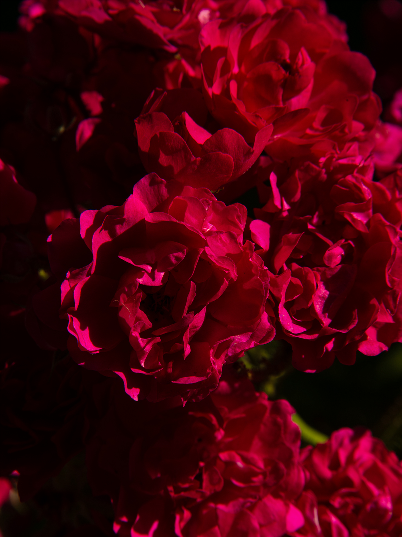 air_032