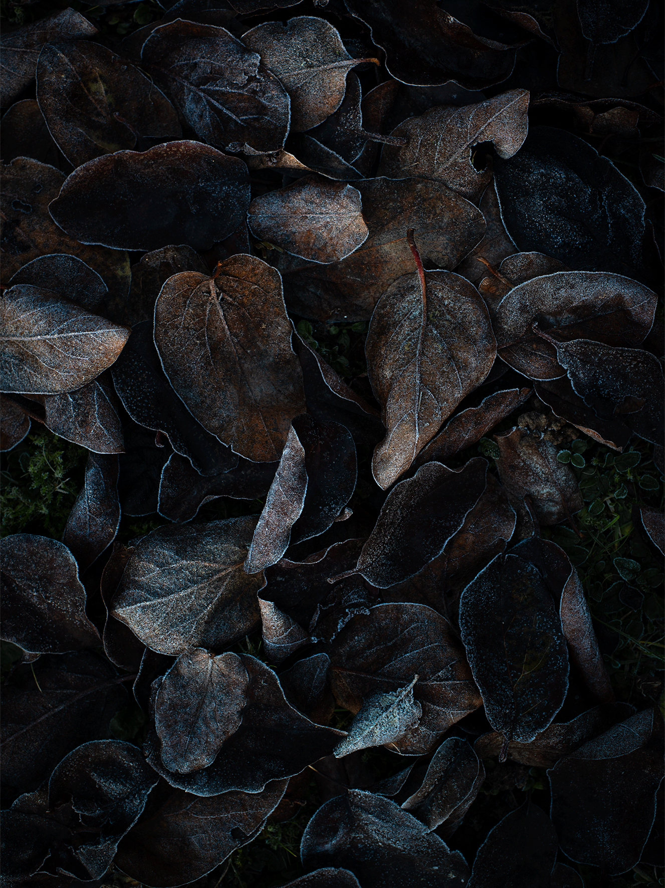 air_042