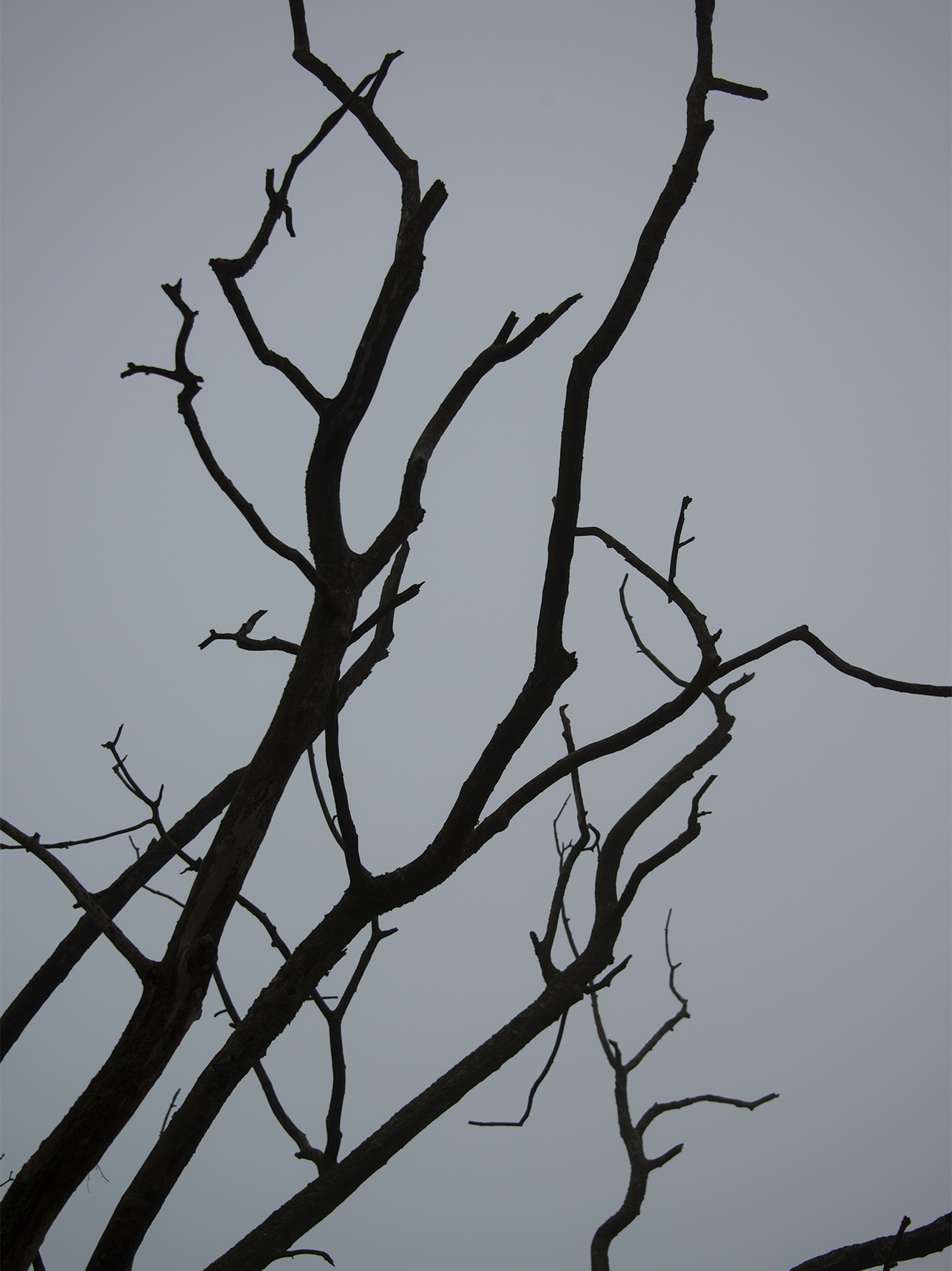 air_054