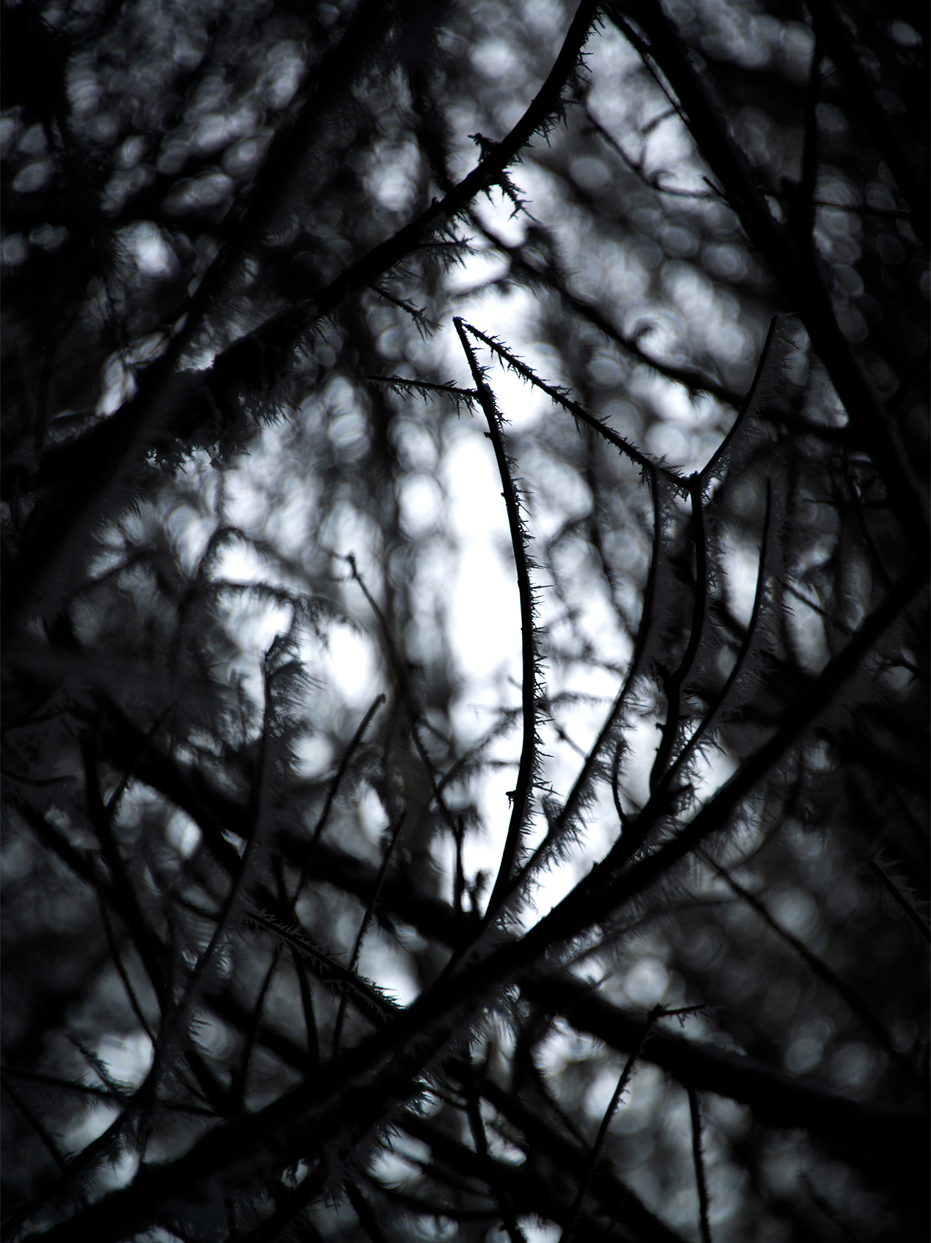 air_067
