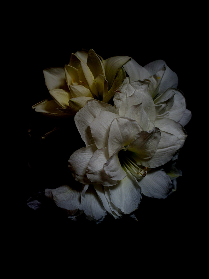 Caroline Smyrliadis, Flowers & Seeds
